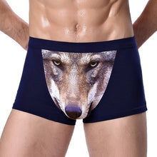 Load image into Gallery viewer, Underwear Funny Men
